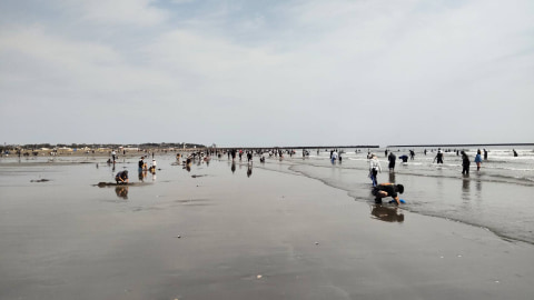 干潮時の浜辺にまばらに人が立っている