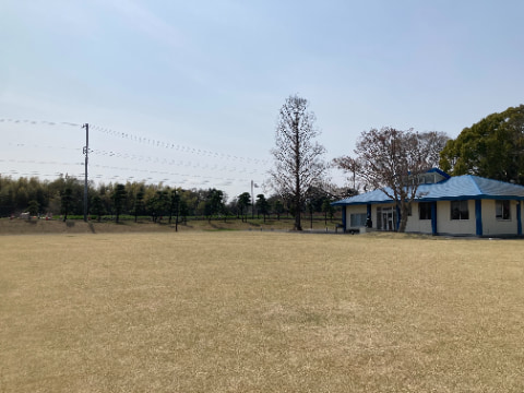 広い芝生の原っぱと青い屋根の建物