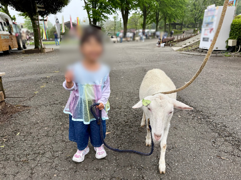 ヤギと子どもが並んで立っている