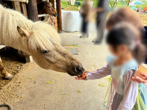 子どもが馬に餌をあげている