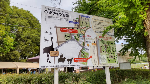 ダチョウ王国という施設の案内看板が立てられている