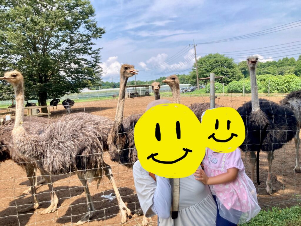 女性と子供の後ろに多数のダチョウが並んで立っている