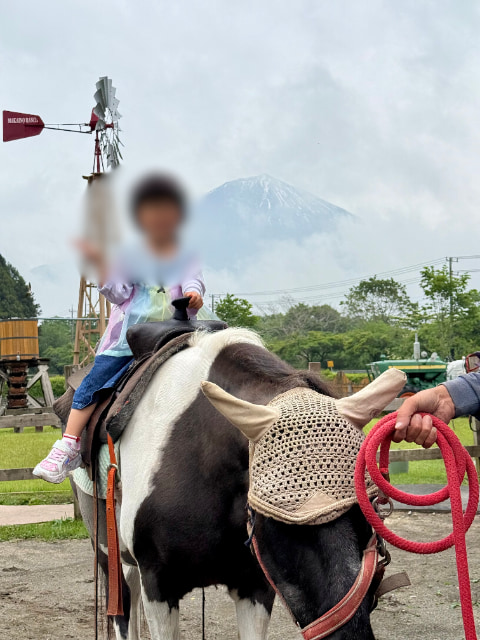 子どもが馬に乗っている