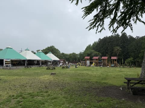 芝生の広場の奥にアスレチックがある