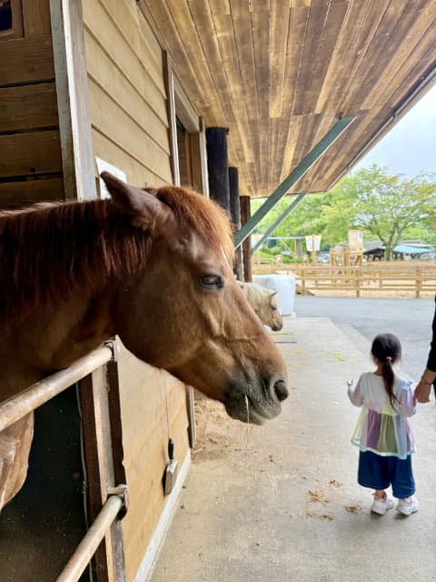 馬と女の子が並んでいる