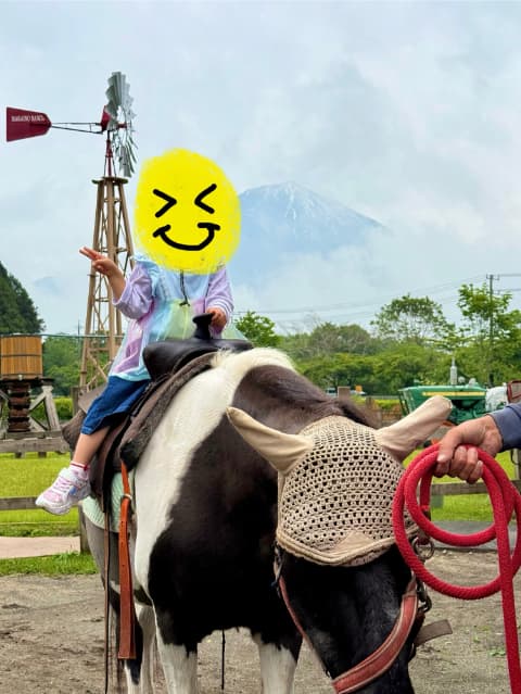 子どもが馬に乗っている