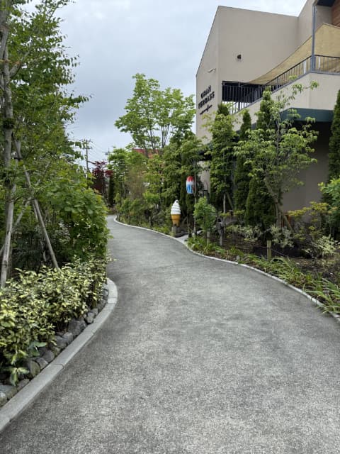道の両脇には木が生えており、木の奥には飲食店の建物が建っている