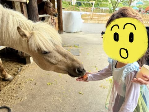 子どもが馬に餌をあげている
