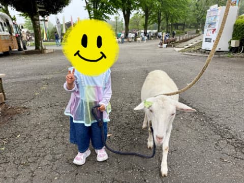 ヤギと子どもが並んで立っている