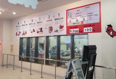 めんたいこの生産工程を説明したパネル展示の下の窓から実際の生産工程を見ることができる