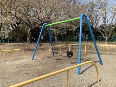 ブランコの奥には複数の木が植えられている
