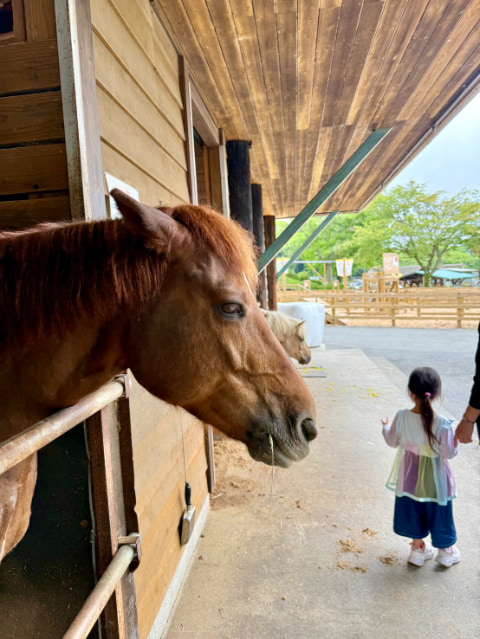 馬と女の子が並んでいる