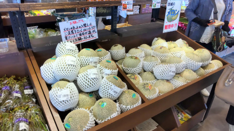 メロンが陳列されている