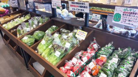 野菜が陳列されている