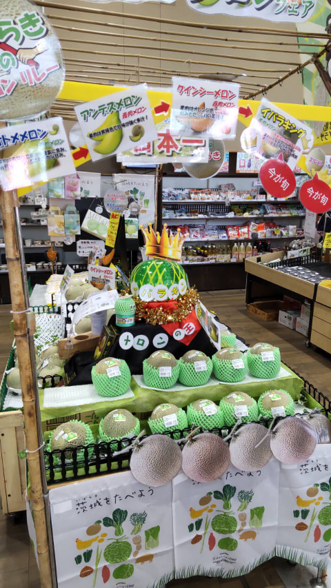 メロンが陳列されている