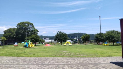 広い芝生の奥に遊具が設置されている