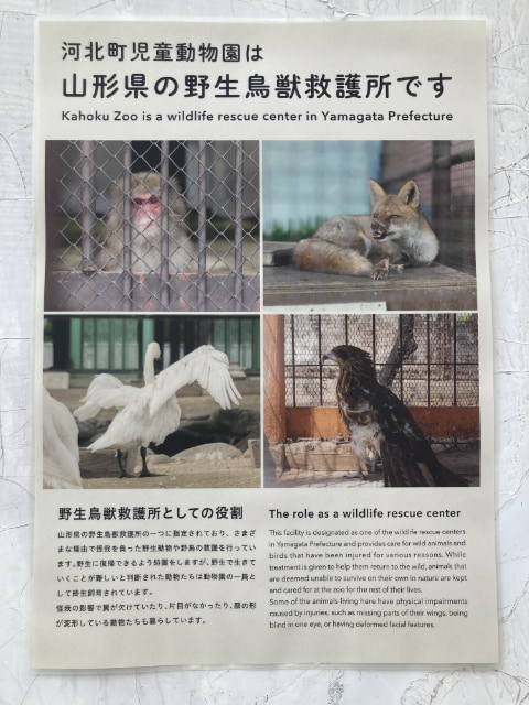 ポスターが掲示されている