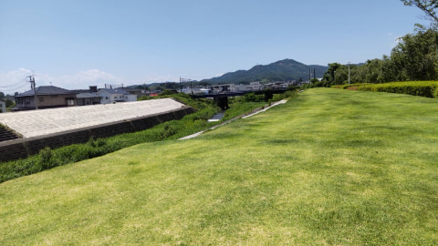 河原に芝生が広がっている