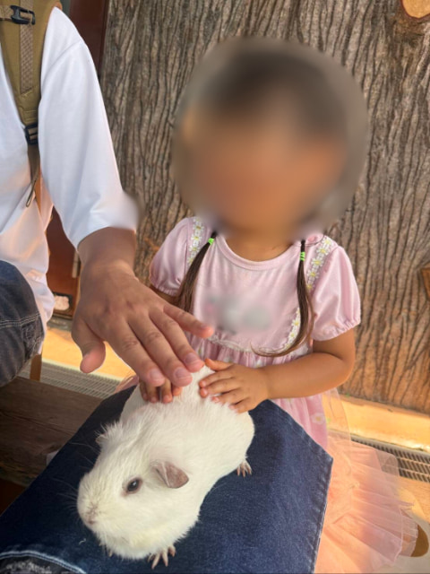 子どもがモルモットを抱っこしている