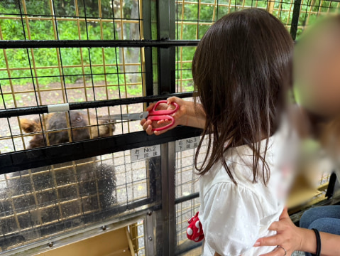 幼児が金網越しのクマに道具を使ってえさを与えている
