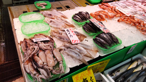 多くの魚介類が並んでいる