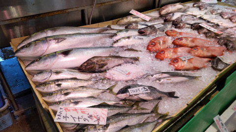 魚介類が陳列されている