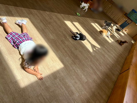 子どもと犬が床に寝転がっている
