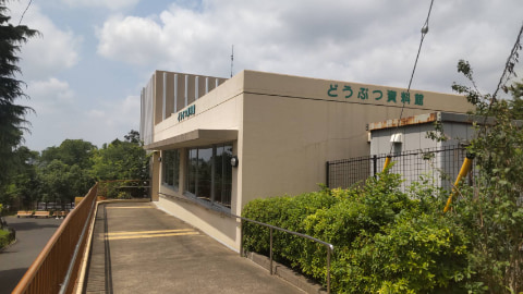 どうぶつ資料館という建物が建っている