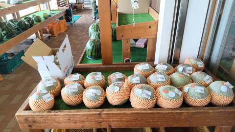 たくさんのメロンが販売されている