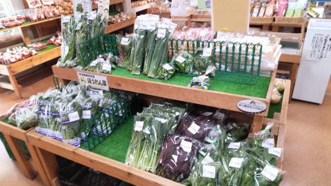 数種類の野菜が陳列されている