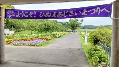両端に花々が咲いた道が続いている