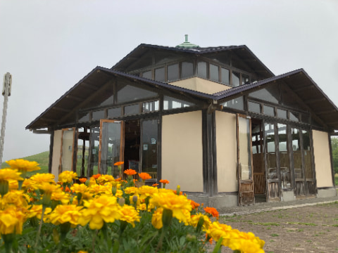 お花の奥に建物が建っている