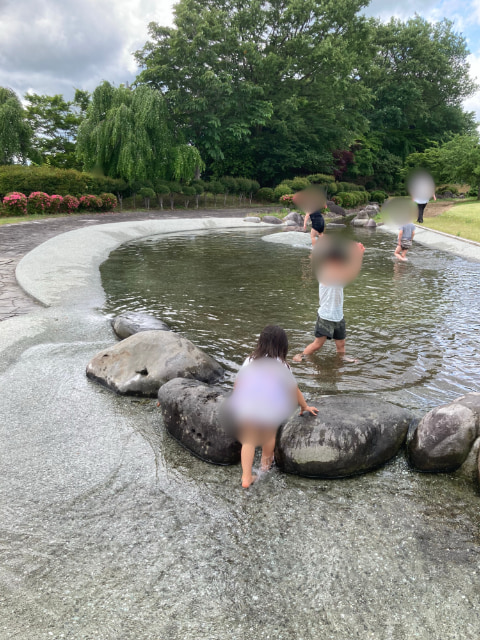 池で数人の子供たちが水遊びを楽しんでいる